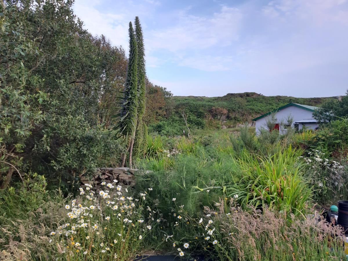 הוילה Goleen House Of Quartz מראה חיצוני תמונה
